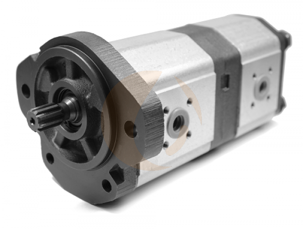 PEDRO ROQUET PUMPE 1GM18-11CIG09F, 1LM27-16IG09F